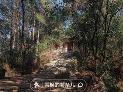 -青龙山国家森林公园