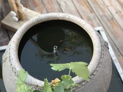 -悦哉·派对·草坪婚礼·围炉煮茶(三圣乡店)