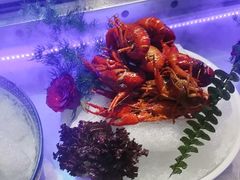 -人民公社大食堂(张家湾店)