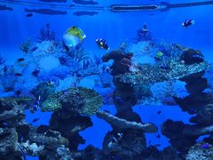 -海合安成都极地海洋公园