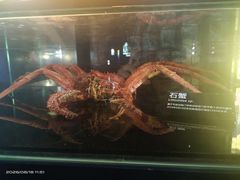 -同济大学四平路校区深海探索馆