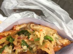 萝卜饺子-半月镰胡姐脆皮萝卜饺子