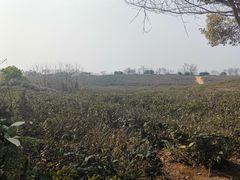 -南京市江宁方山
