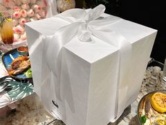 -BLACKSWAN黑天鹅(环球店)