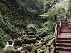 -赤水丹霞旅游区·佛光岩