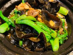 豆豉鲮鱼炒广东菜心-老广酒楼(樱花店)