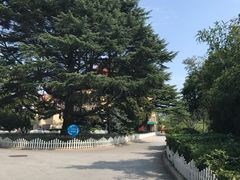 -青岛德国总督楼旧址博物馆