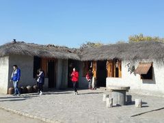 android_upload_pic-溱湖国家湿地公园