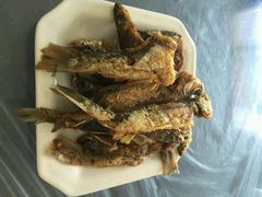 android_upload_pic-喜洋洋蟹庄(阳澄湖店)