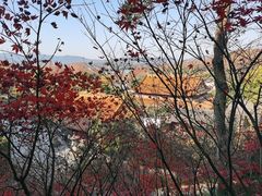 -九曜山