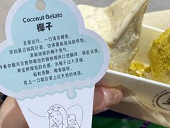 -野人先生现做冰淇淋(西安赛格店)