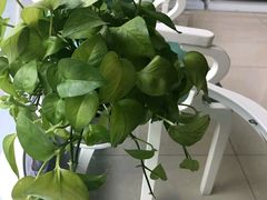 -美酷口腔牙齿矫正(江桥万达店)