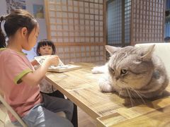 -小时光咖啡馆(开森度假森林店)