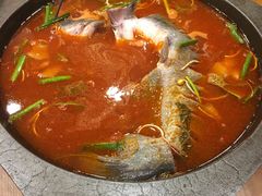-新凯里酸汤鱼(飞山街店)