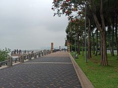 -深圳湾公园(南山区)
