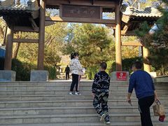 -阳台山自然风景区