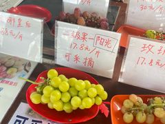 -马陆小张葡萄园农家乐