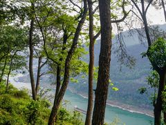 -铁山坪森林公园