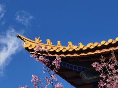 -崇圣寺三塔文化旅游区