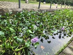 -河北村民俗体验园