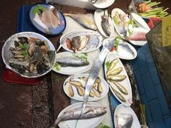 特色野生小海鲜-开鑫鱼厂·宁波海鲜(前程智慧城店)