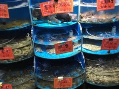 -北戴河庆山饭店·海鲜砂锅粥(北戴河黑石路店)