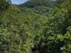 -广州白江湖森林公园