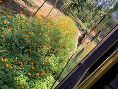 -合肥滨湖国家森林公园