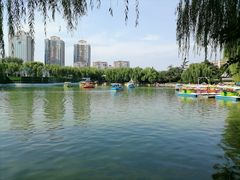 -团结湖公园