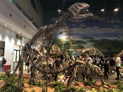 -自贡恐龙博物馆