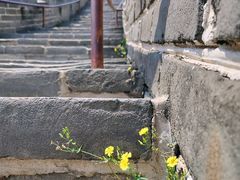 -居庸关长城