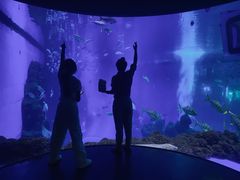 -成都浩海立方海洋公园