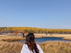 -塞罕坝国家级自然保护区