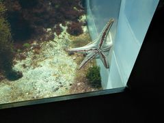 -鹿儿岛水族馆