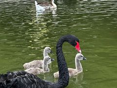 -宿豫区运河湾森林动物园