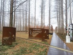 -黄海国家森林公园