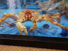 -七鲜超市(万向城店)