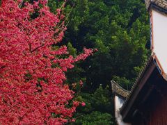 -乌山风景区