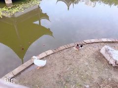 -南普公园