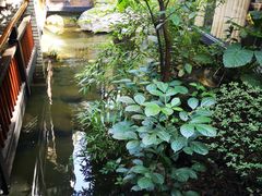 -鱼桥巷·美学川菜