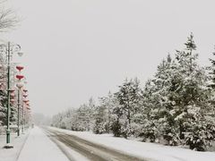 -北极村旅游风景区