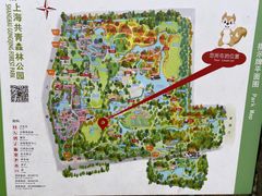 -上海共青森林公园