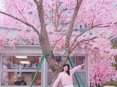 -首开·龙湖成都西宸天街