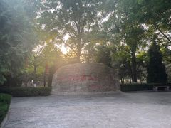 -大槐树寻根祭祖园
