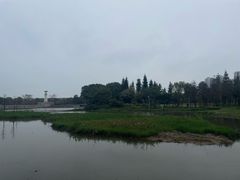 -中澳友谊花园