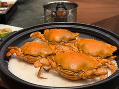 -博多新记·粤菜