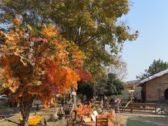 -HERRE·FARM 赫尔露营农场·团建聚会包场