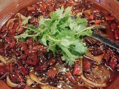 精品毛血旺-华豫川酒家(大卫城店)