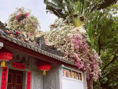 -深圳国际园林花卉博览园