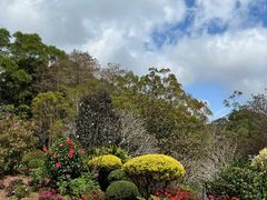 -深圳仙湖植物园